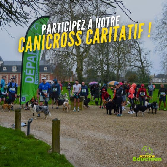 course caritative canicross 2025 organisé par EDUCHIEN au château de Béhoust dans les Yvelines 78